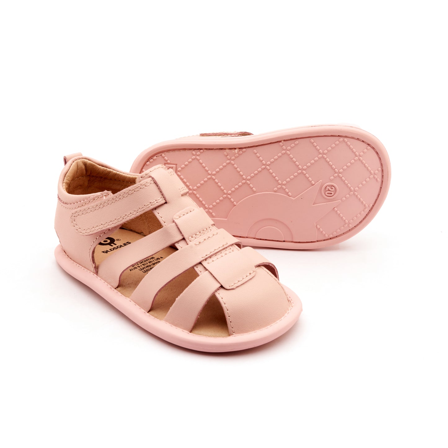 LittleSurf_NACARDODALIA