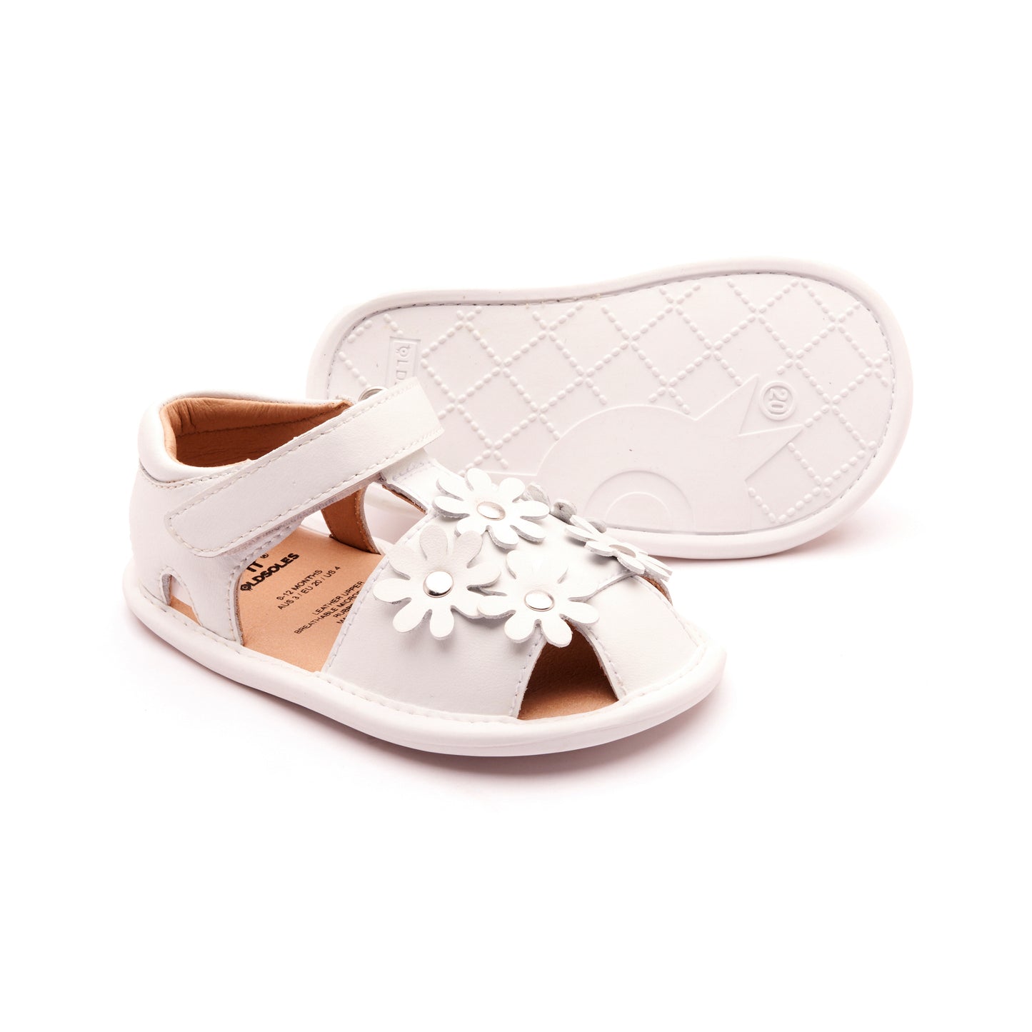 3017WildFlower_SNOWWHITESOLE_2
