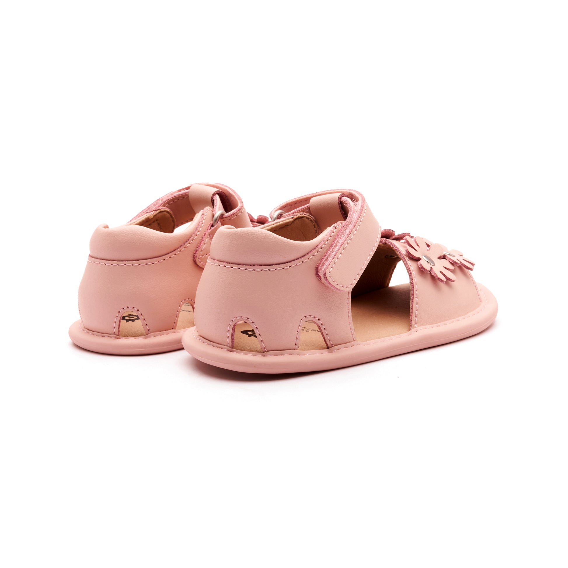 WildFlower_POWDERPINKPOWDERPINKSOLE