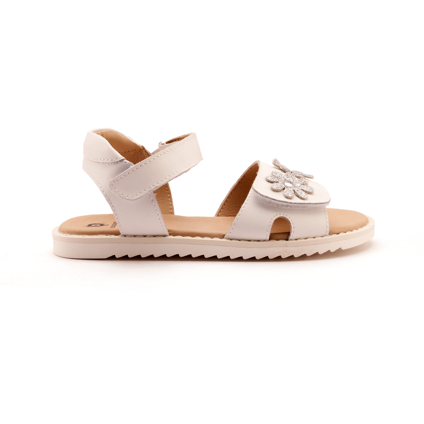 7042_Flower_Sandy_SNOW_GLAM